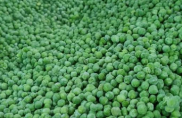 Screenshot-2026-03-04-9.38.12-PM