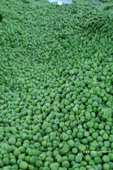 El Marwa Egyptian Company for Food Industries