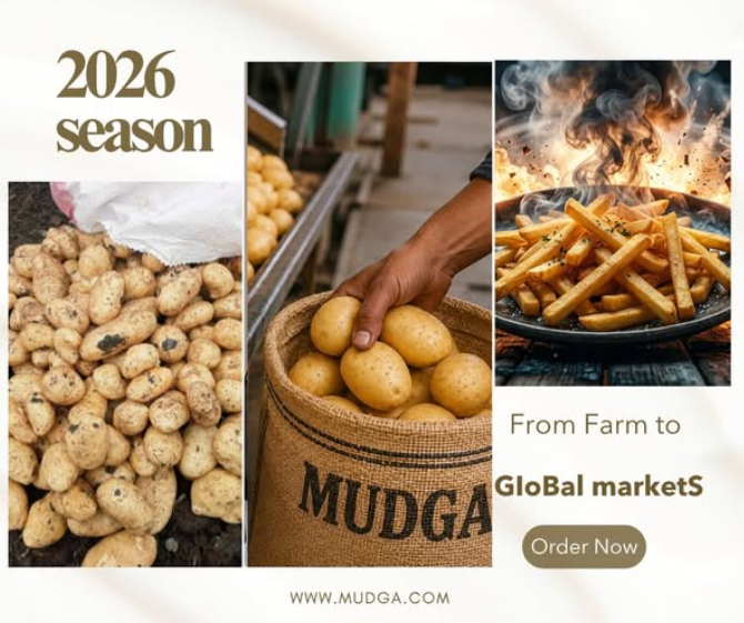 MUDGA International Trading