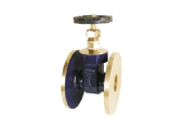 Gate Valves IS:778 CL-1 Flanged