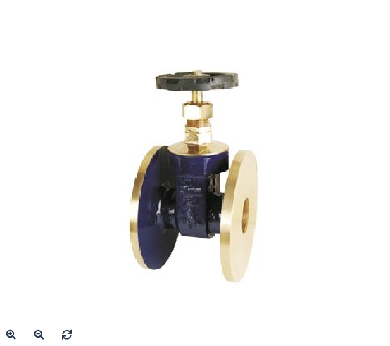 Gate Valves IS:778 CL-1 Flanged